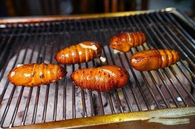 一天吃多少蝉蛹