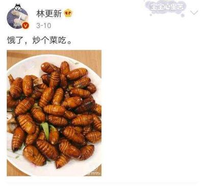一天吃多少蝉蛹