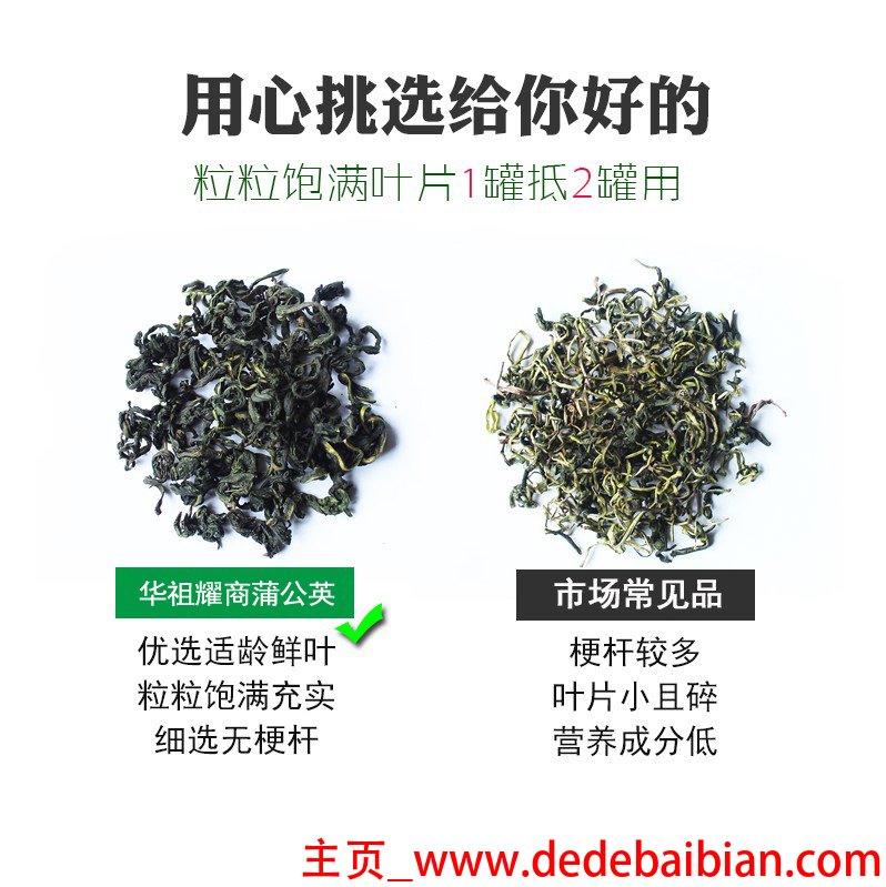 蒲公英x5多少钱