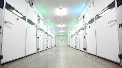 建一个孵化厂需要多少投资