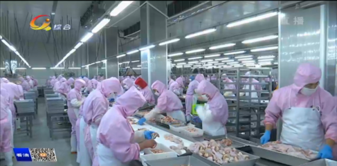 建一个孵化厂需要多少投资