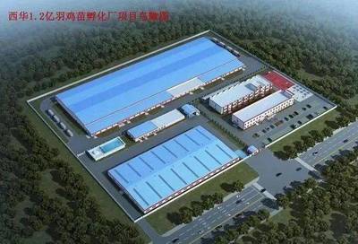 建一个孵化厂需要多少投资