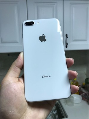 苹果8plus耐高温多少度