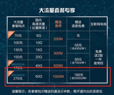 上海千兆网多少钱