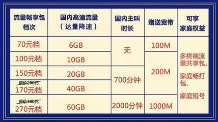 上海千兆网多少钱