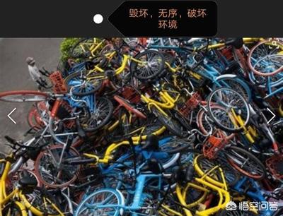 ofo自行车月租多少钱