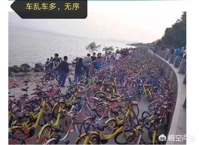 ofo自行车月租多少钱
