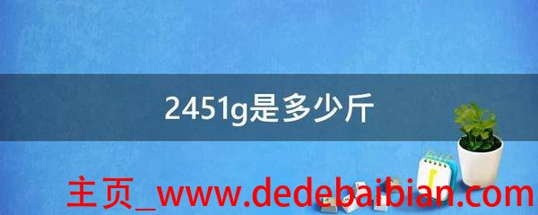 2451g等于多少斤