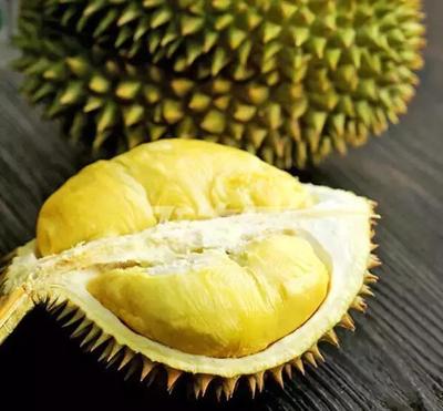 全世界共有多少种榴莲