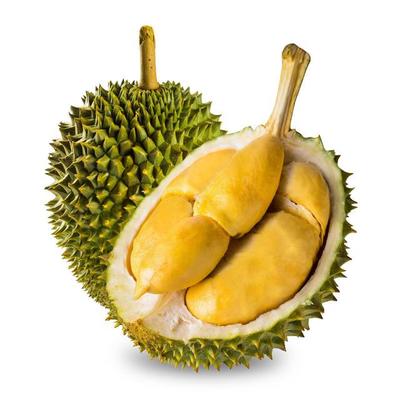 全世界共有多少种榴莲