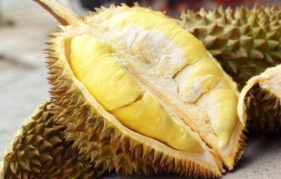 全世界共有多少种榴莲