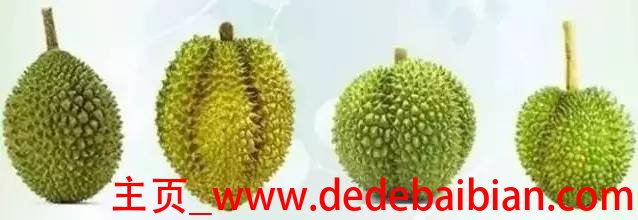 全世界共有多少种榴莲