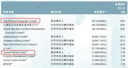 联合创始人多少股份合适