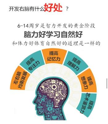 每个人大脑开发多少