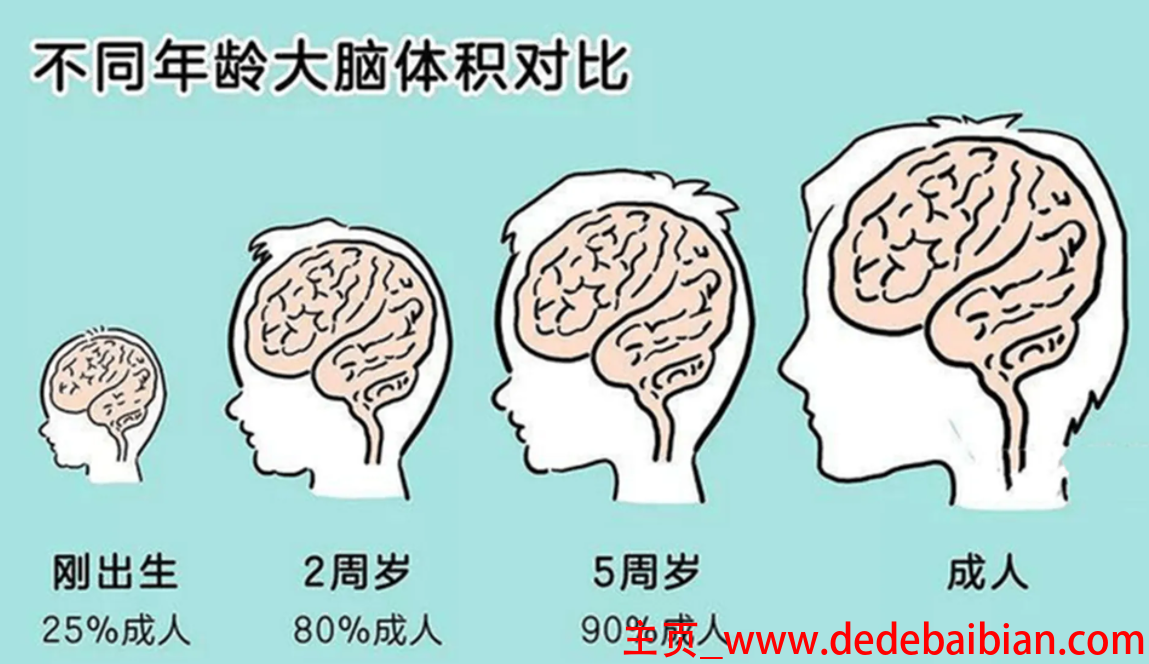 每个人大脑开发多少
