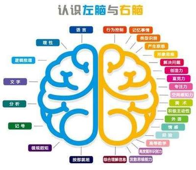 每个人大脑开发多少