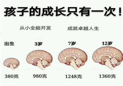 每个人大脑开发多少