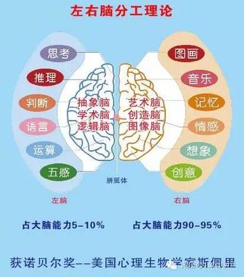 每个人大脑开发多少
