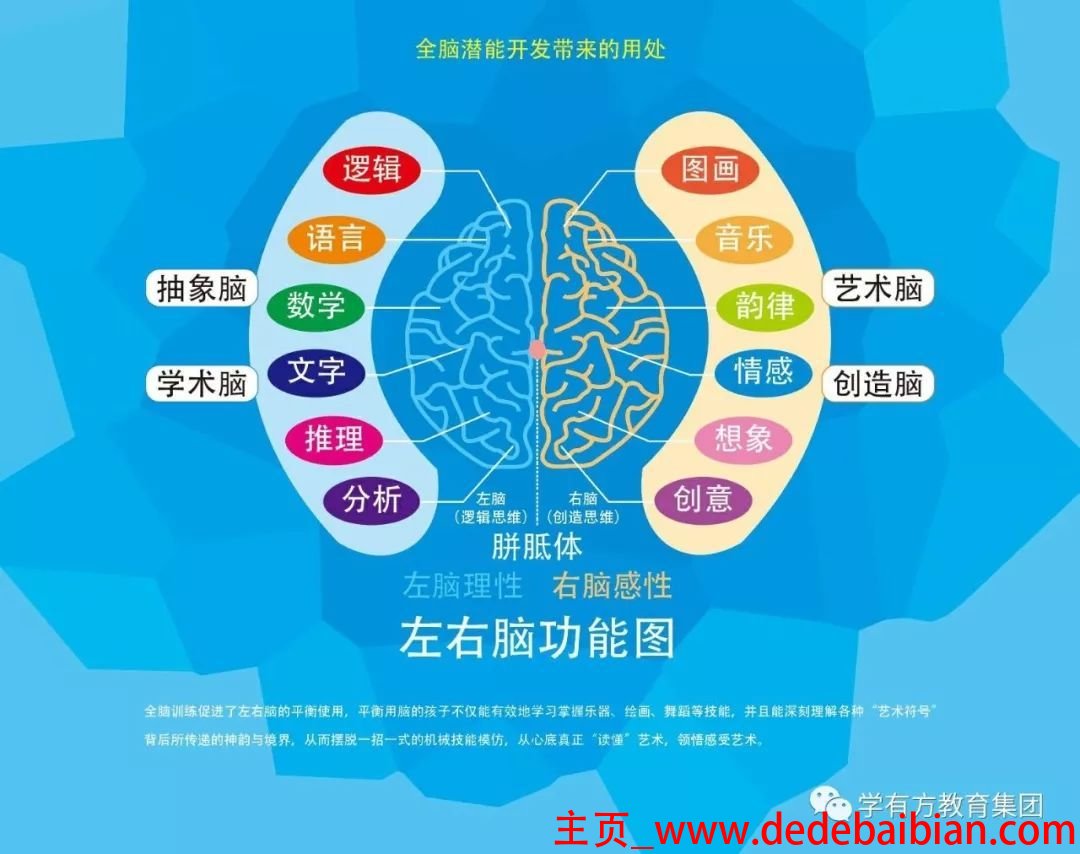每个人大脑开发多少