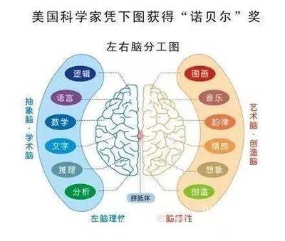 每个人大脑开发多少