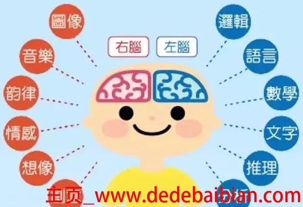 每个人大脑开发多少