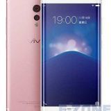 vivolte多少钱