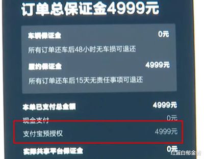 支付宝赔付多少钱