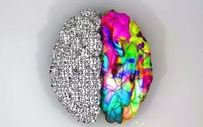 人类大脑了解多少