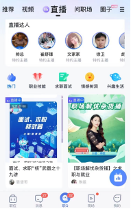 智联招聘一年多少钱