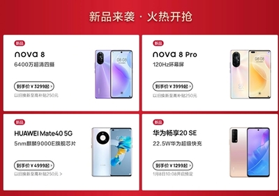 vivo延保一年多少钱