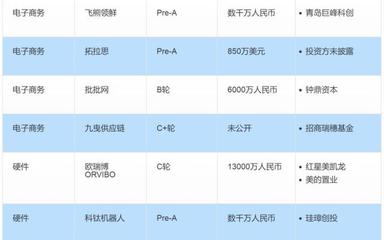 京东一共融资了多少钱