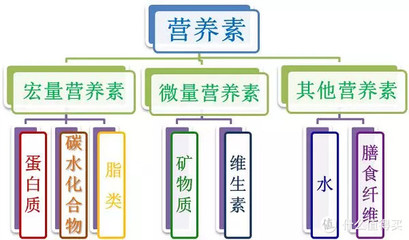 有多少中素