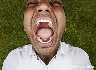 吉尼斯记录有多少