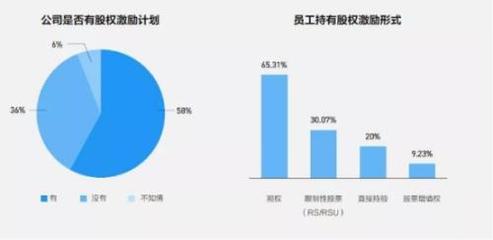 携程员工有多少股票
