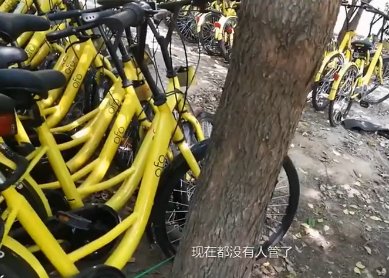 共享单车有多少人使用