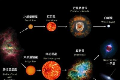 恒星比太阳大多少呗