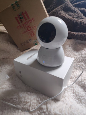小白机器人多少钱一台