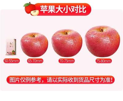 苹果卖了多少台