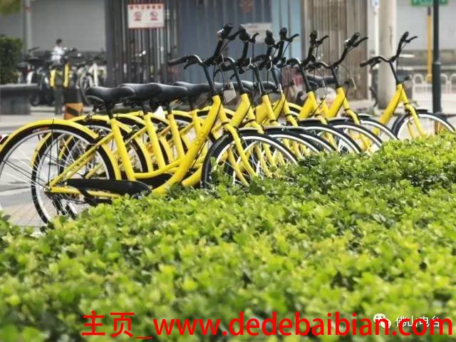 全能共享单车押金多少