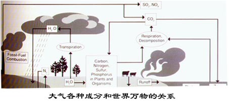 灰尘中有多少种微生物