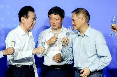 孙宏斌 收购乐视多少钱