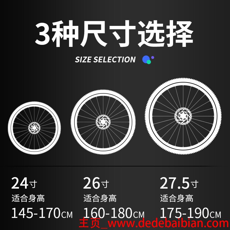 青轮线多少钱一个
