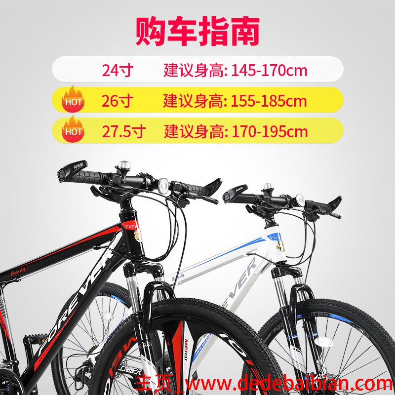 青轮线多少钱一个