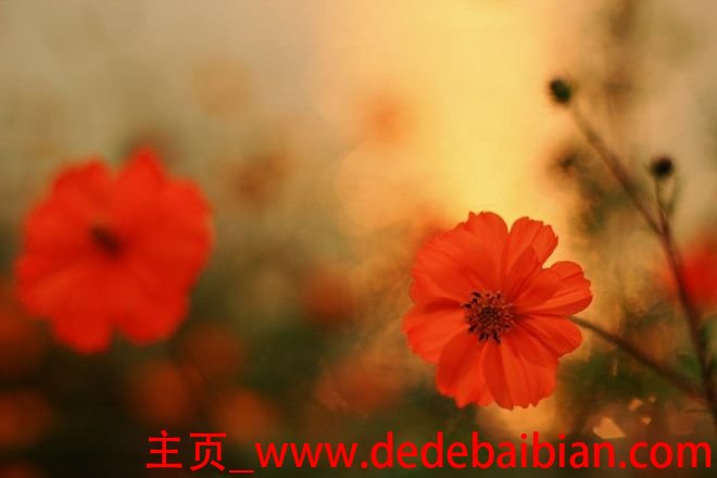 拍摄小景光圈多少