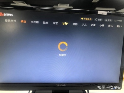 天猫盒子华数tv会员多少钱