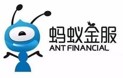 蚂蚁金服的投资年划利率多少啊