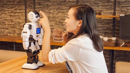 家用保姆机器人价格是多少钱一个