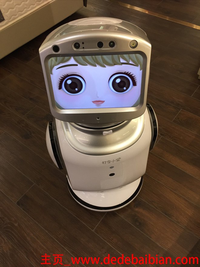 家用保姆机器人价格是多少钱一个