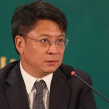 乐视网多少名星亏了