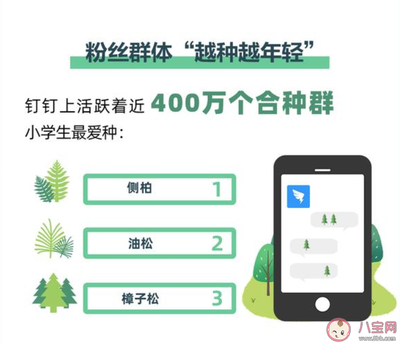 手机种树一共要多少钱